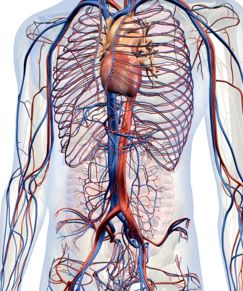 Abordaje Integral de la Pericarditis en Puebla